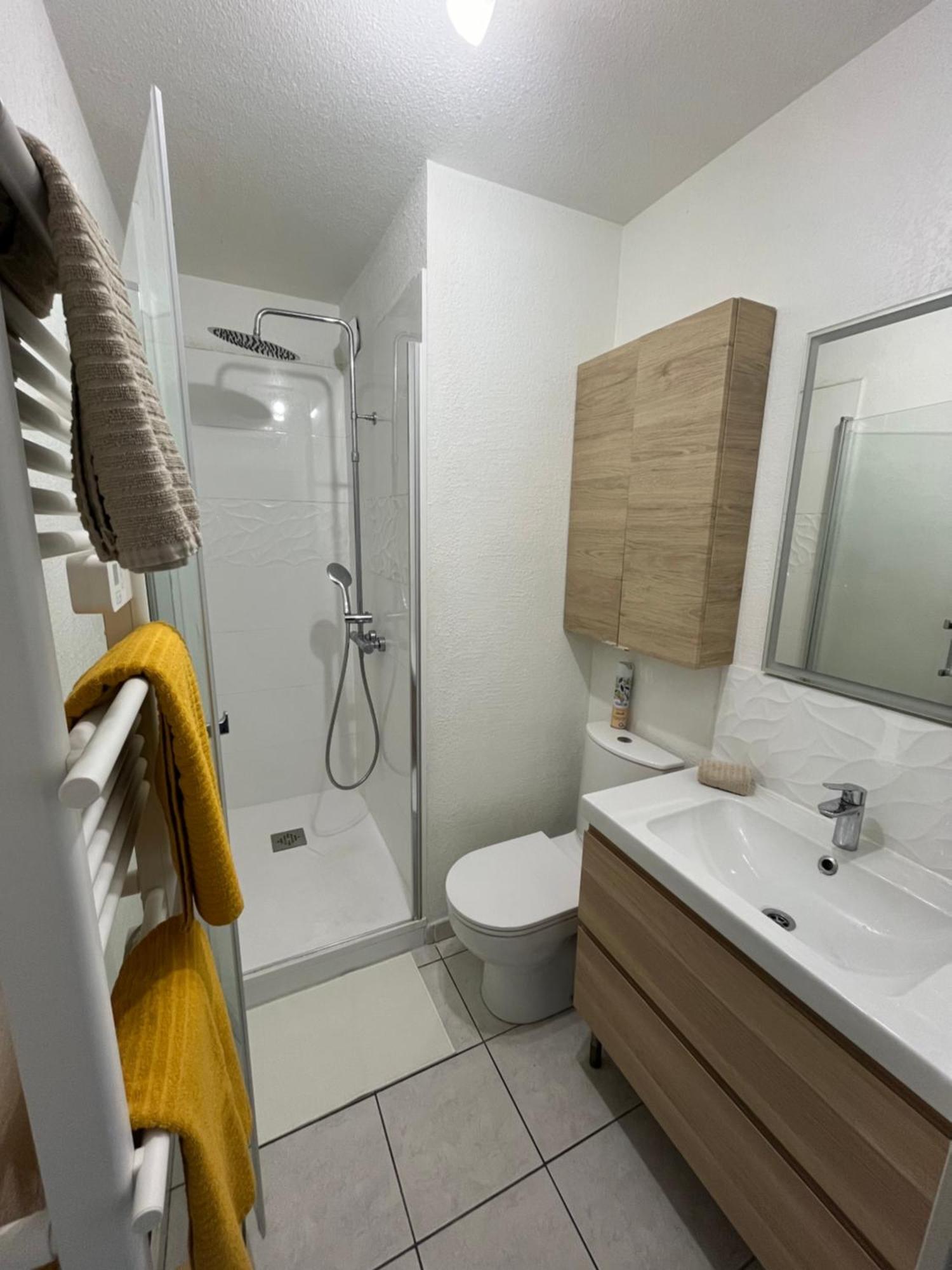 Joli T2/ Tram/ Clim/ Parking/ Wifi/ Piscine Apartment Montpellier Ngoại thất bức ảnh