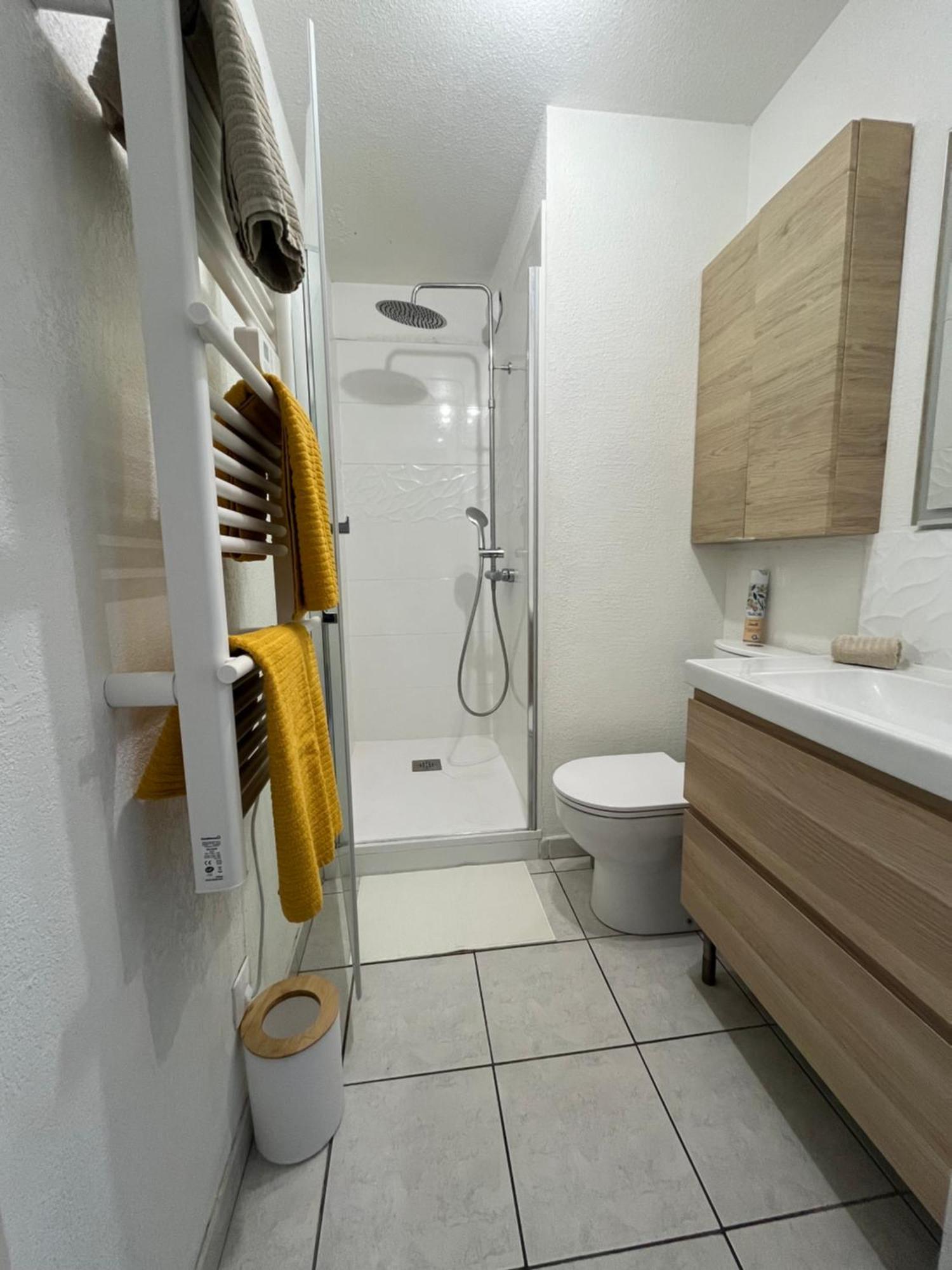Joli T2/ Tram/ Clim/ Parking/ Wifi/ Piscine Apartment Montpellier Ngoại thất bức ảnh